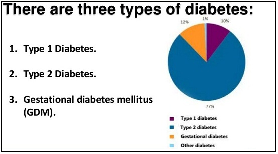 type 2 diabetes essay