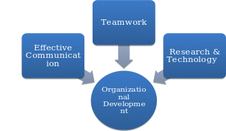 New Organizational Development Model.