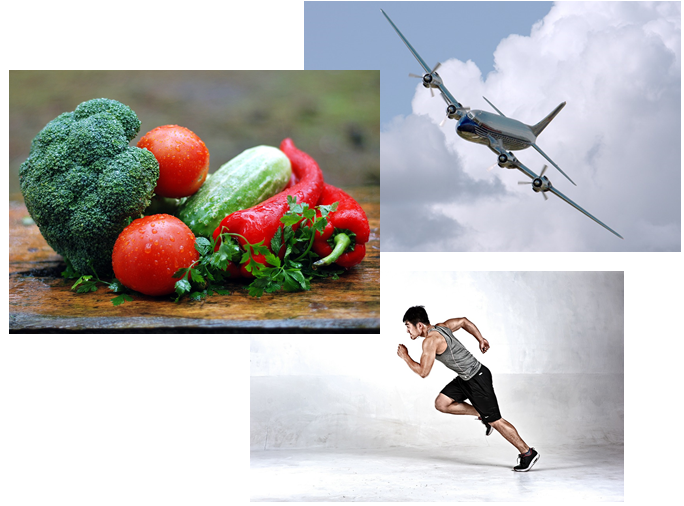 Aviation Weight Management and Lifestyle Modification Programme