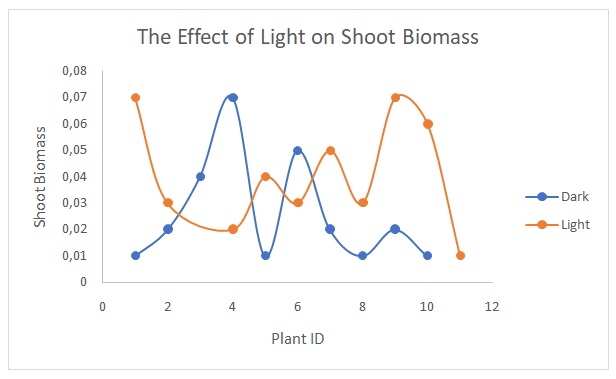 The effect of light on shoot biomass.