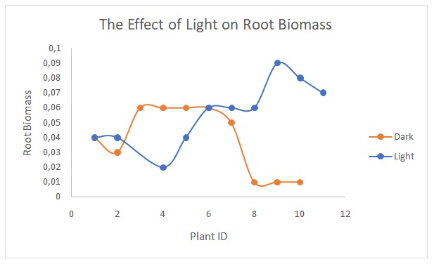 The effect of light on root biomass.