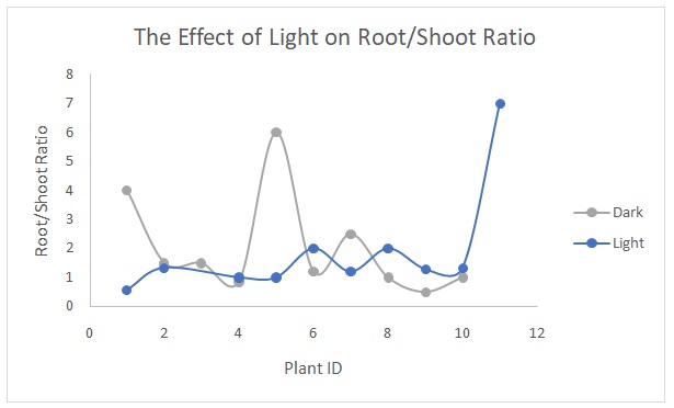The effect of light on the root/shoot ratio.