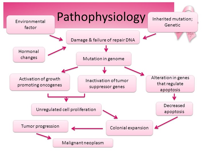 Pathophysiology.