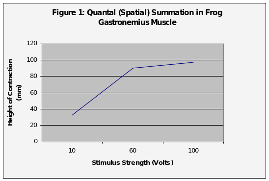 Quantal summation in frog gastronemius muscle.