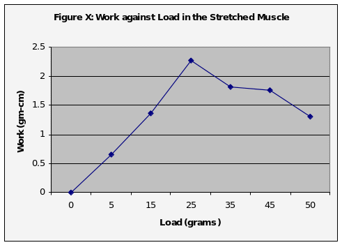 Work against load in the stretched muscle.