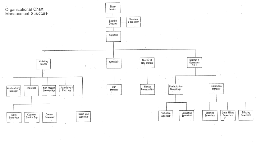 Organizational chart management structure