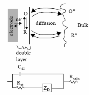 Electrochemical system that includes electron transfer along with its equivalent circuit.