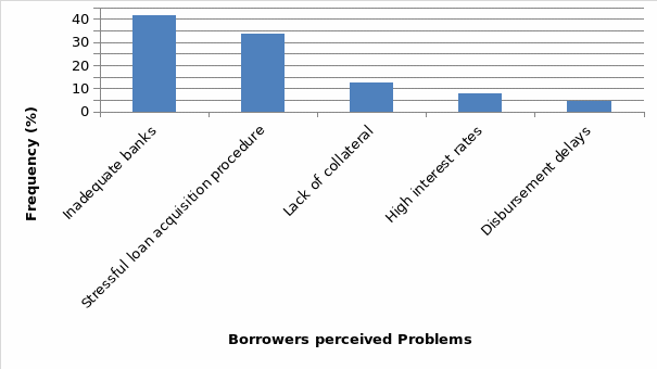Perceived borrower problems in loan acquisition.