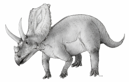 Sketch of Chasmosaurus. (Source: http://en.wikipedia.org/wiki/Image:Sketch_chasmosaurus.jpg