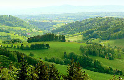 The Black Forest (Schwarzwald).