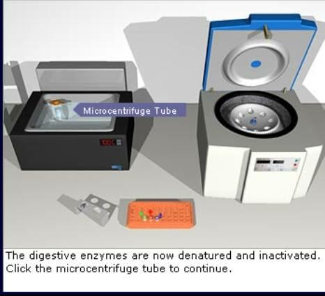 Microcentrifuge Tube. 
