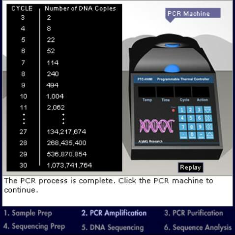 PCR Machine. 