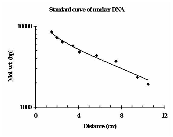 The standard curve of DNA plotted by recording distance of the standard marker Lambda BstEII fragments versus their molecular weights.