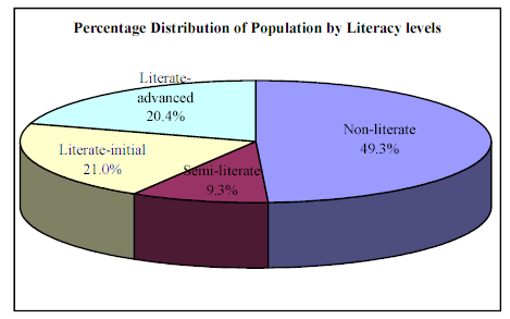 Percentage distribution of population by literacy levels.