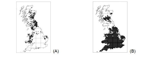 Present distribution of (A) red squirrel (Sciurus vulgaris) and (B) grey squirrel (Sciurus carolinensis) in United Kingdom. Source: http://www.saburchill.com/IBbiology/chapters02/035.html