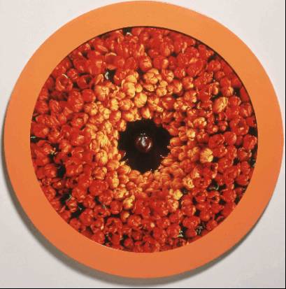 Wreath to Pleasure No. 1. Helen Chadwick. 1992-93. Cibachrome photographs, powder-coated steel, glass, aluminum-faced MDF. < http://www.trapholt.dk/frame.asp?show=frame&lang=&url=http://www.trapholt.dk/viewimage.asp?imgid=790>