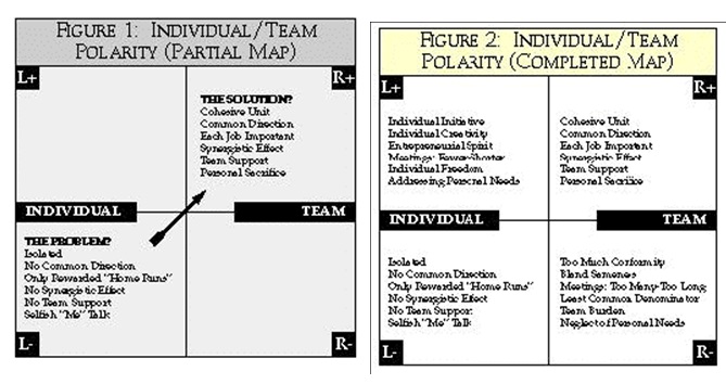 Individual/ Team Polarity