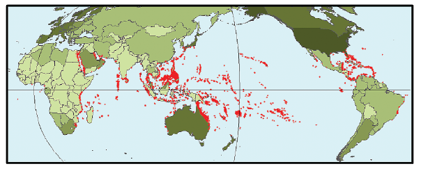 The red colored areas represent the world’s coral reefs