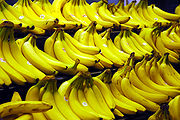 Ripe bananas ready for consumption