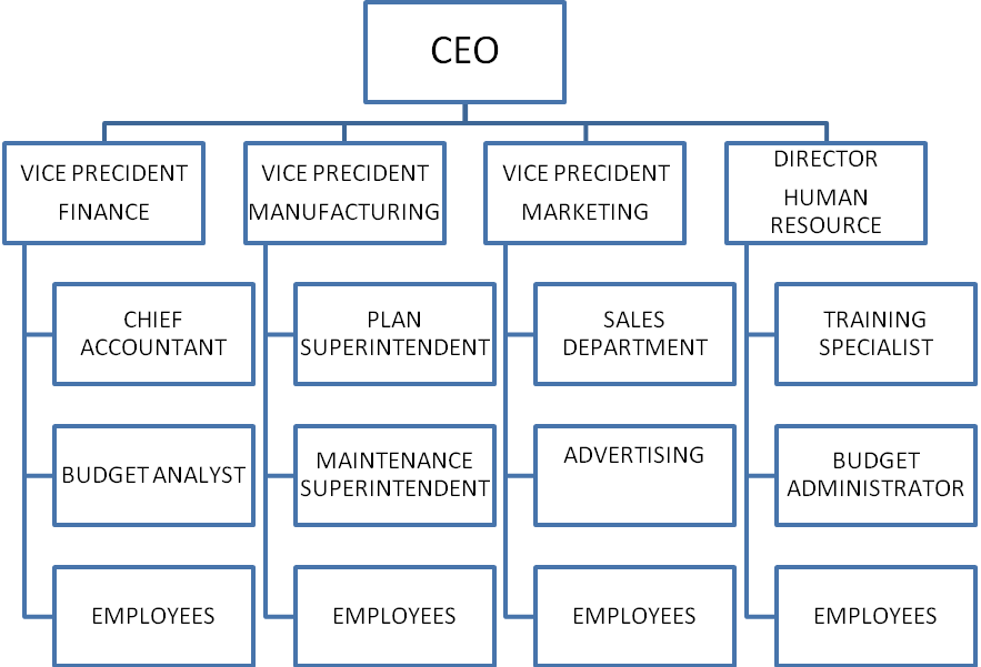 The organization chart.