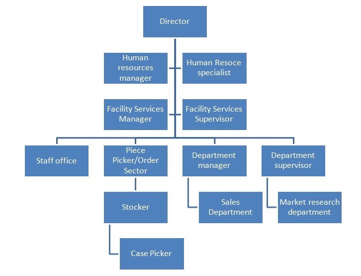 The managerial structure