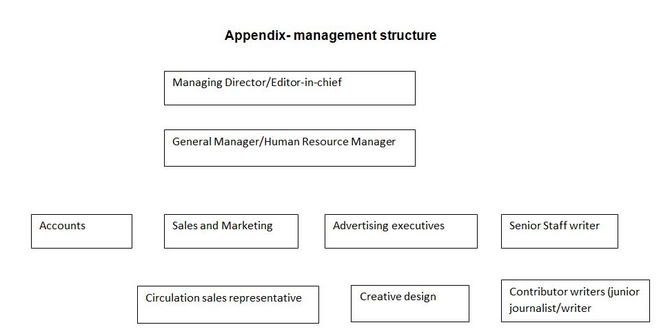 Appendix - management structure