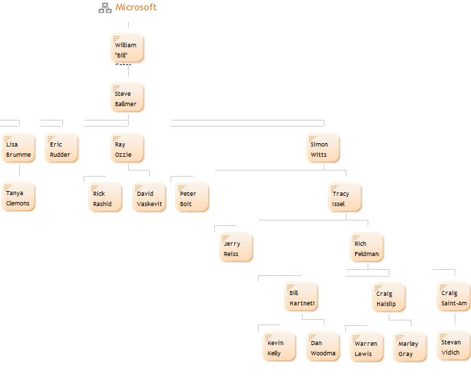 The organizational chart of Microsoft.