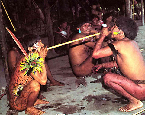 The Yanomami