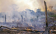 Slash and burn forest removal in Brazil 
