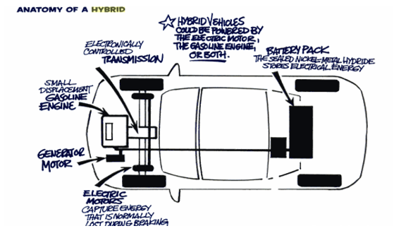 Anatomy of a hybrid