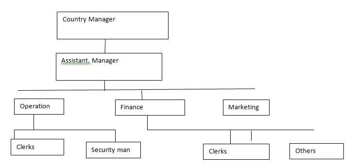 The organization chart for the proposed business