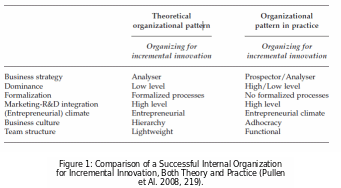 Comparison of a Successful Internal Organization for Incremental Innovation.