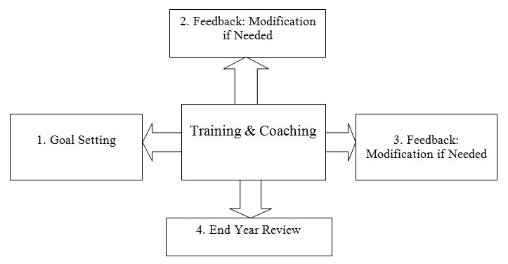 Training Program Plan
