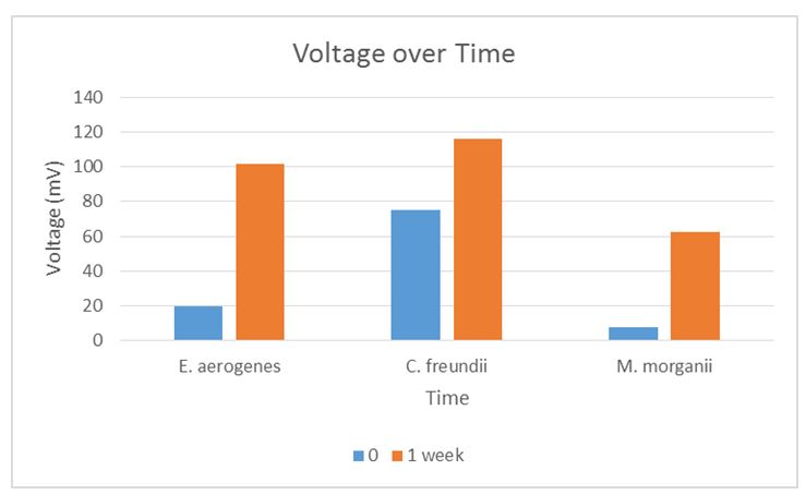 Tracking voltage over time for the three Enterobacteriaceae.