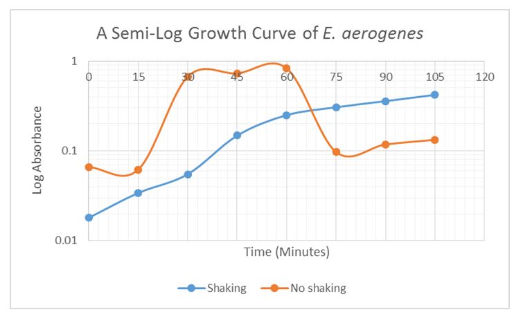 A semi-log growth curve of E. aerogenes.
