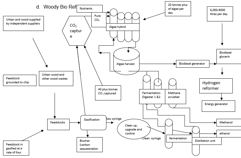 Woody Bio Refinery
