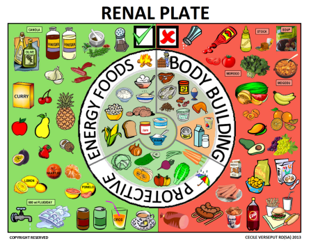 Renal plate