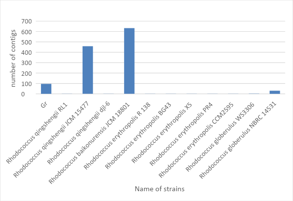 Number of contigs in different species/ strain