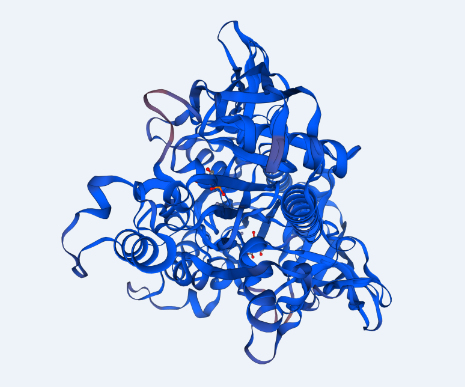 Predicted structure of ASPA based on the template 