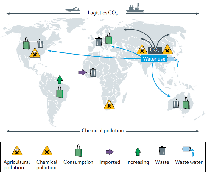 Global environmental effects of the fashion and textile production industries 