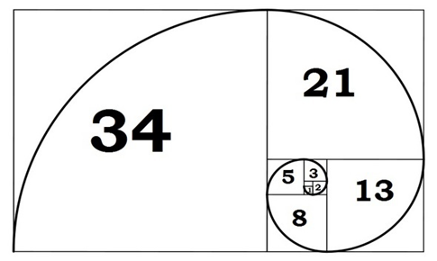 Fibonacci spiral 