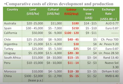 Comparisons of Citrus Development