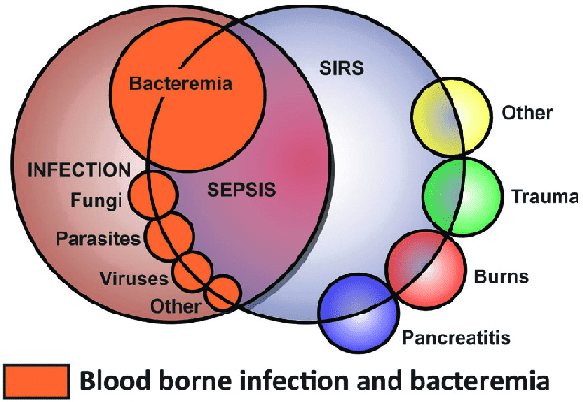 Blood born infection and bacteremia 