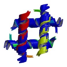 Structure of the huntingtin tetramer/dimer mixture determined by paramagnetic NMR (“6N8C”, 2019)