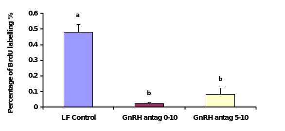 Percentage of OSE cells showing BrdU incorporation over the total surface area of the marmoset ovary after GnRH-antagonist treatment during the follicular phase of the ovarian cycle. Values are means percentage ± SEM; (n =25 sections). Different letters indicate statistically significant differences (P ≤ 0.05).