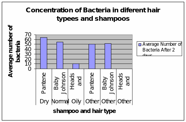 Concentration of Bacteria in diferent hair typees and shampoos