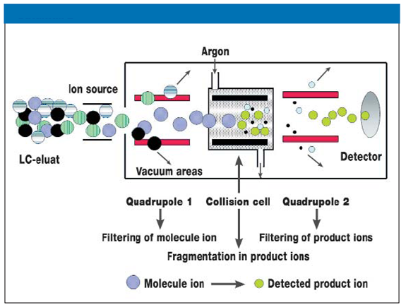 Tandem mass spectrometry (adapted from Vogeser 2007, p. A2197).