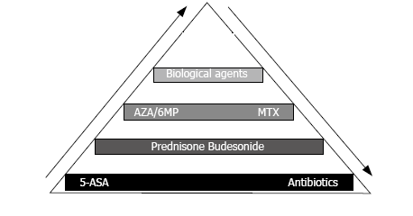 Step up and top down concepts for treatment of Crohn’s disease. Adapted from Etchevers et al, 2008 