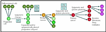 The epigenetic progenitor model of cancer. 