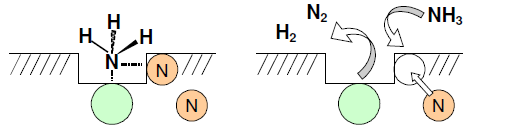 Schematic representation of the decomposition of ammonia on a zirconium oxynitride catalyst